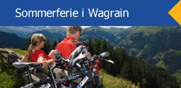 Banner Sommerferie